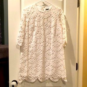 Lace Scalloped Shift Dress Ann Taylor 4P